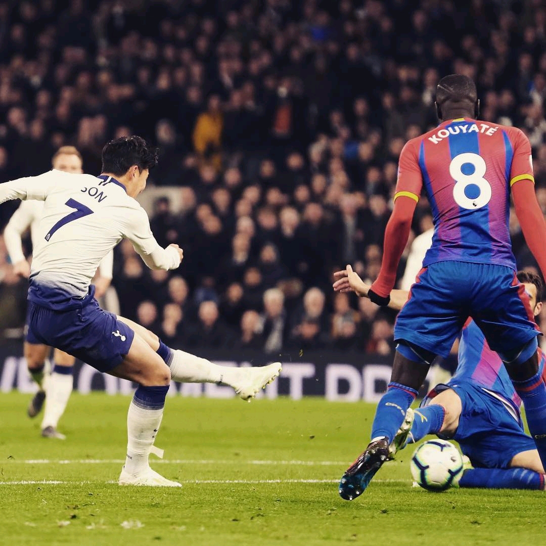 归化球员的 归化球员的